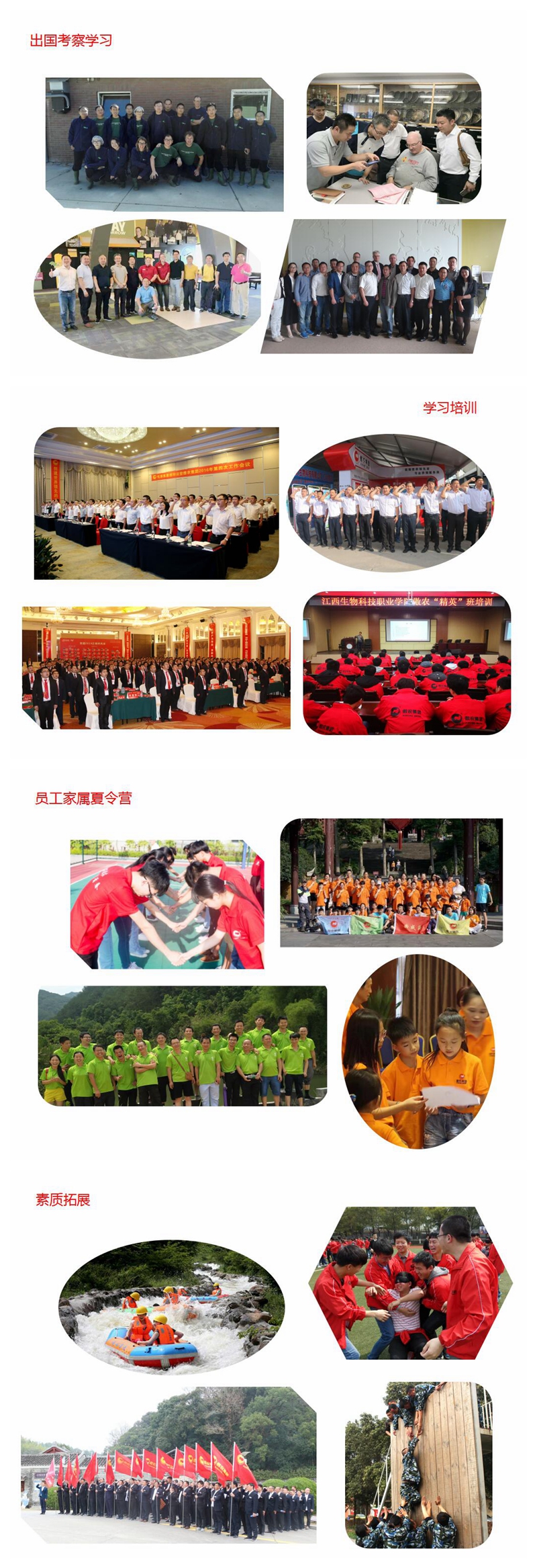 9001诚信金沙(中国)有限公司