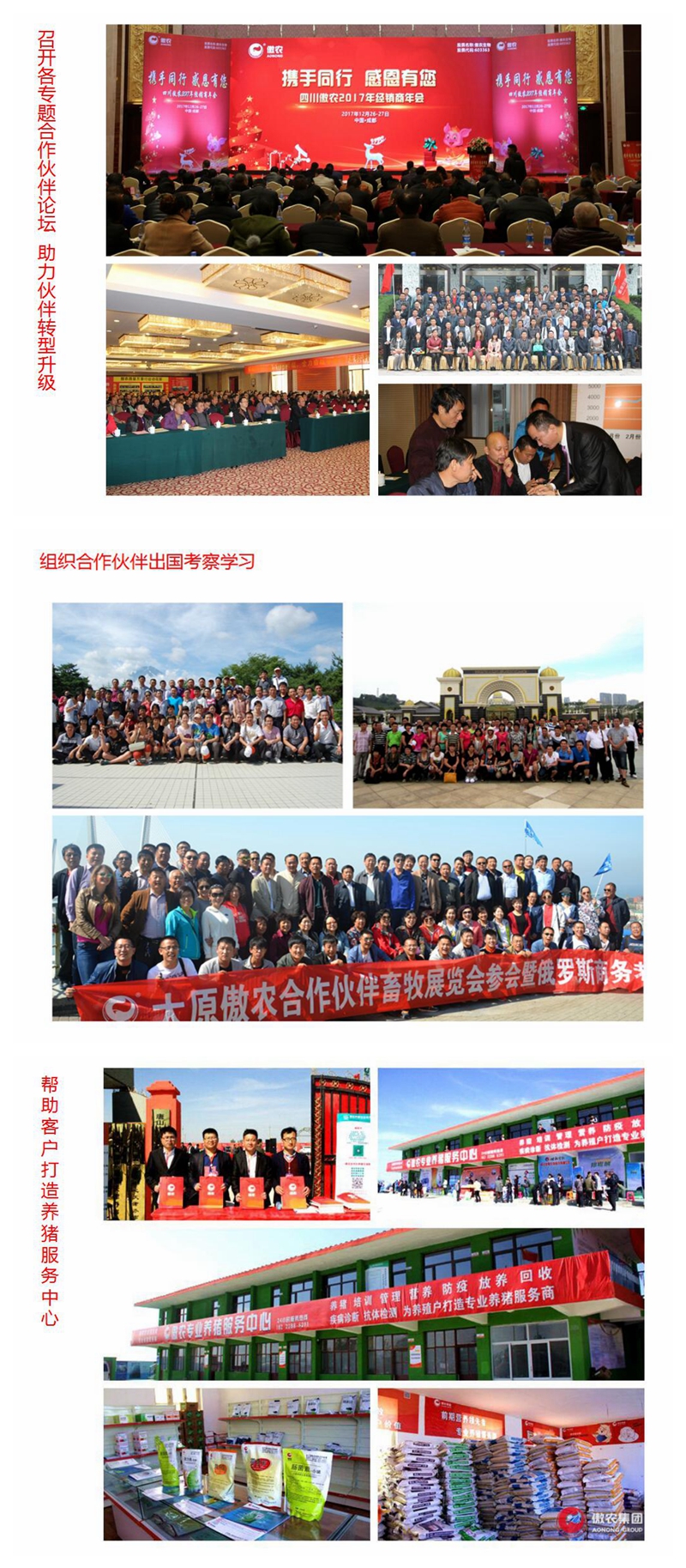 9001诚信金沙(中国)有限公司