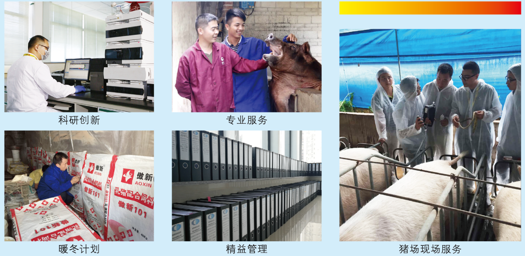 9001诚信金沙(中国)有限公司