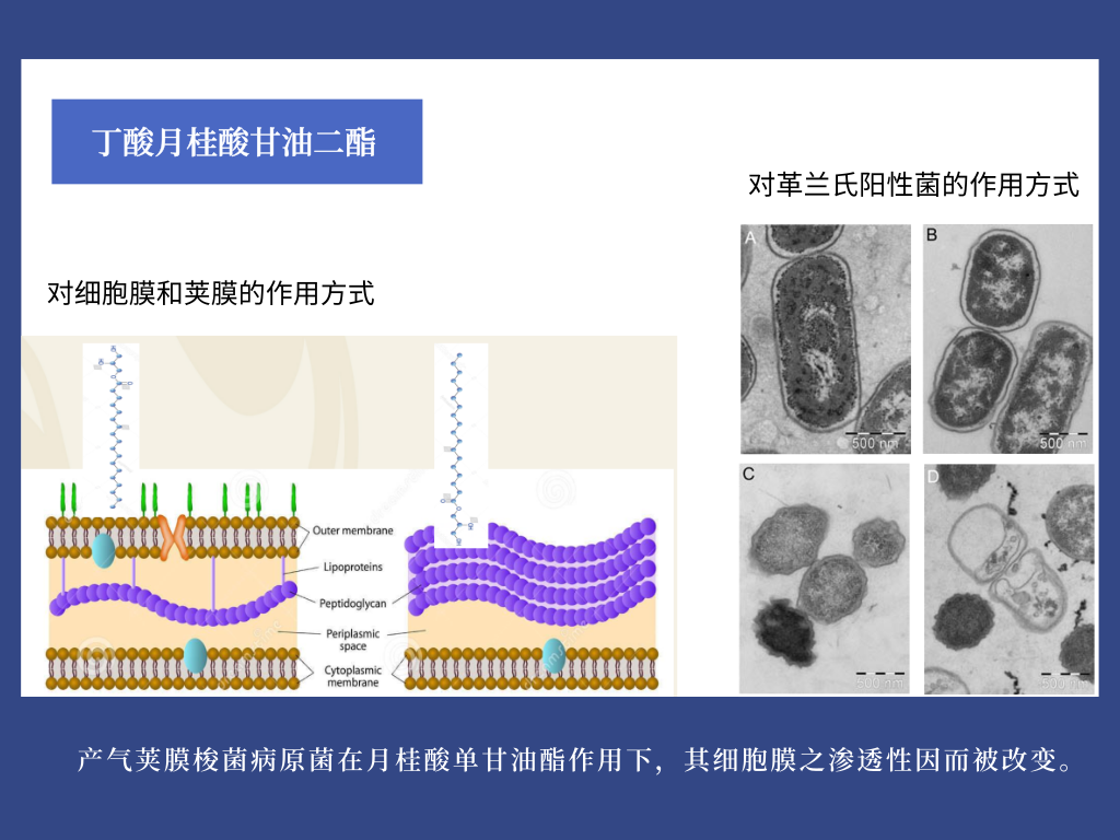 9001诚信金沙(中国)有限公司