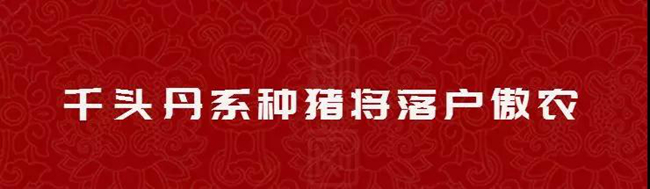 9001诚信金沙(中国)有限公司