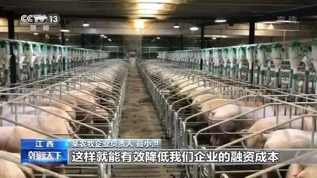 9001诚信金沙(中国)有限公司