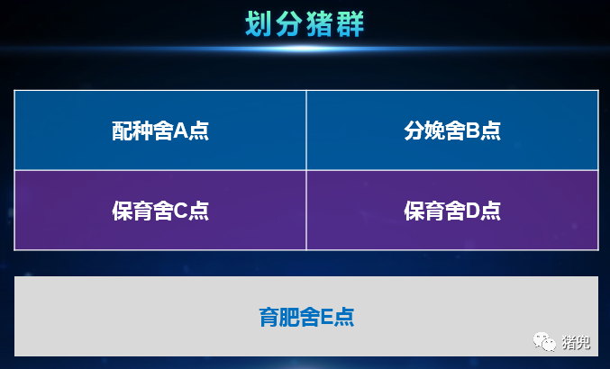 9001诚信金沙(中国)有限公司