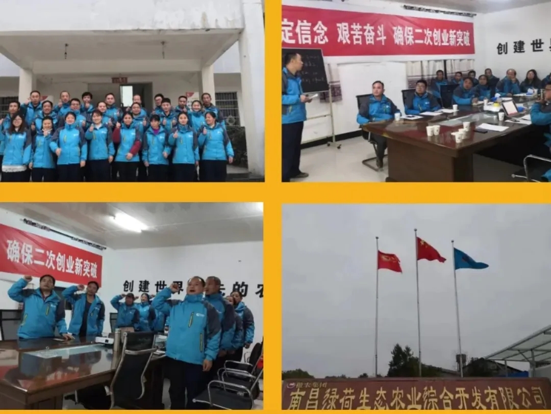 9001诚信金沙(中国)有限公司