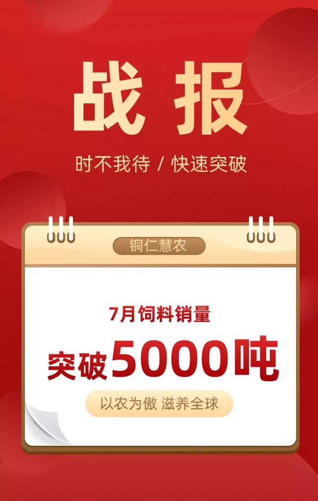 9001诚信金沙(中国)有限公司