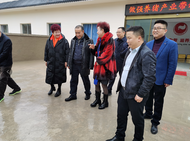 9001诚信金沙(中国)有限公司