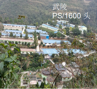 9001诚信金沙(中国)有限公司