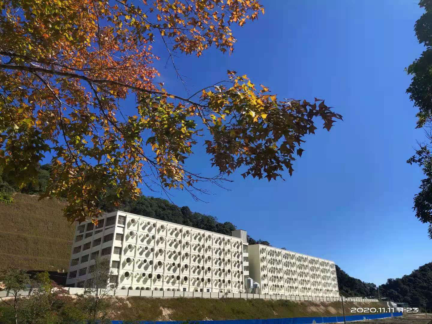 9001诚信金沙(中国)有限公司